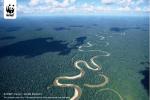 EM - Léto 2015 - KOZA - Amazonský prales