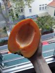 Papaya