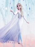 Elsa jako pátý element