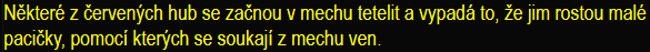 Houbové potvůrky!