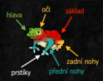 Žába