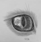 Kočičí oko a korál