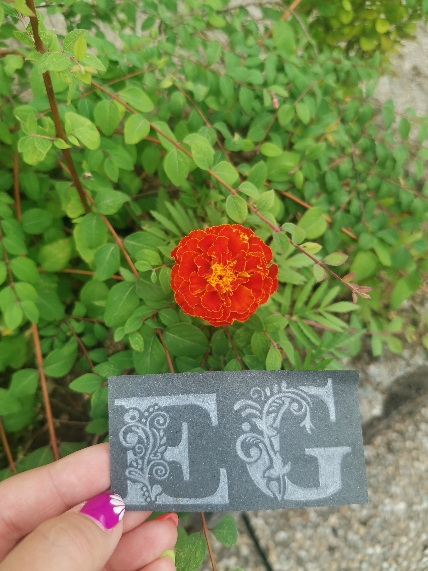 Oranžová květina štítek