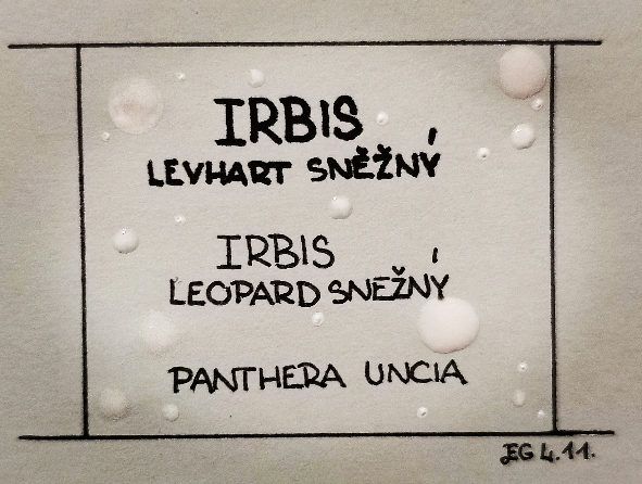 Irbis - cedulka