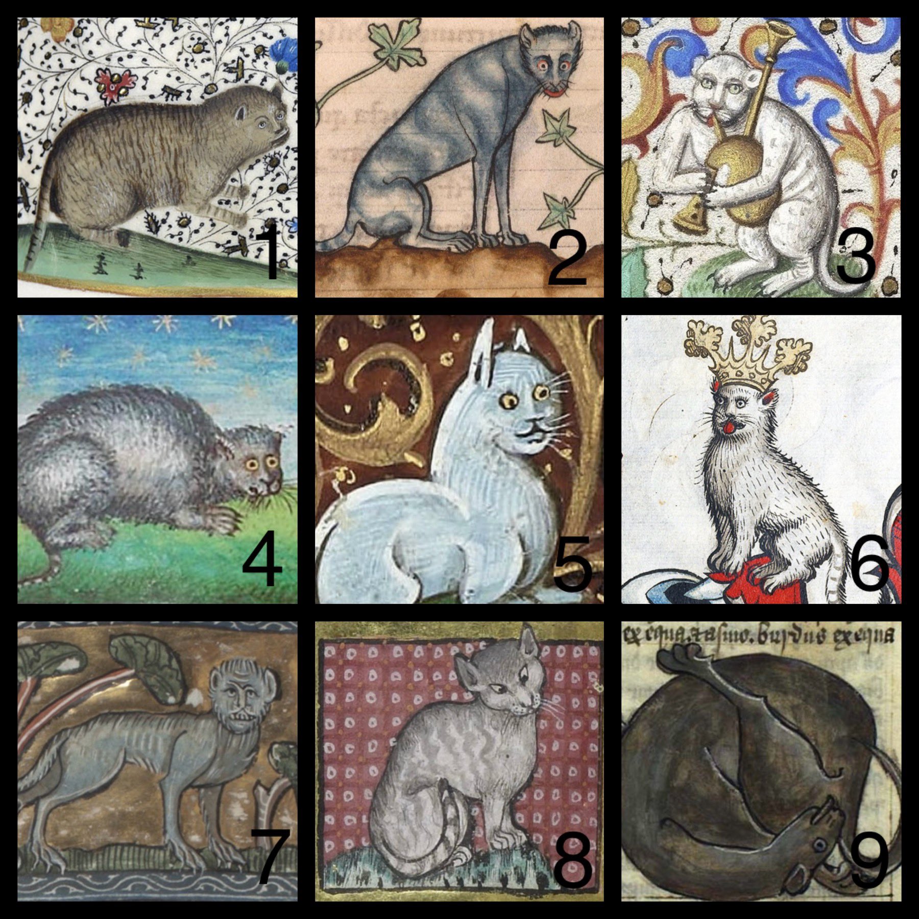 medieval cats
